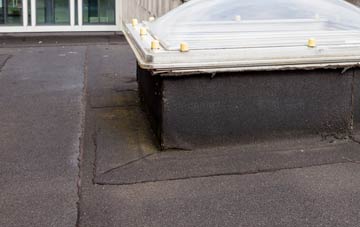 disadvantages of Shaggs flat roofs