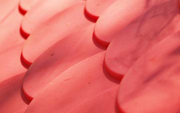 Shaggs plastic roof costs