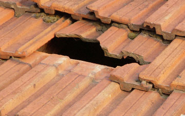 roof repair Shaggs, Dorset