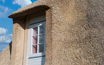 Shaggs thatch roof disadvantages