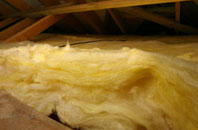 Shaggs pitch roof insulation